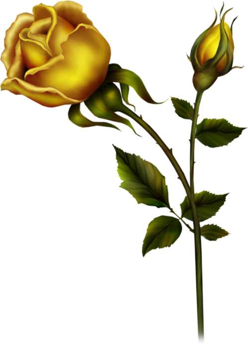 Yellow Rose With Bud Png Clipart - Rose Buds Clip Art (428x600), Png Download