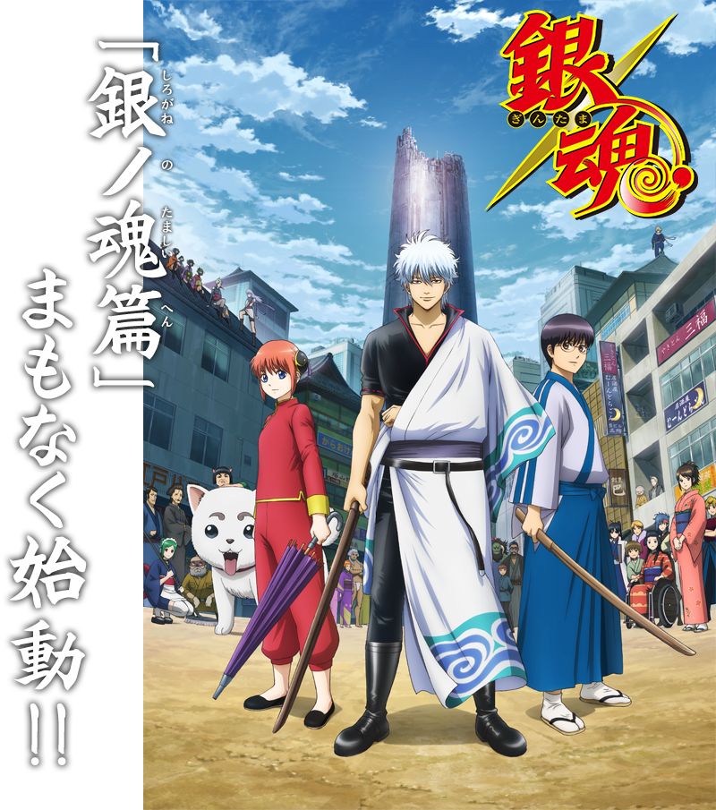 19 Nov (800x905), Png Download