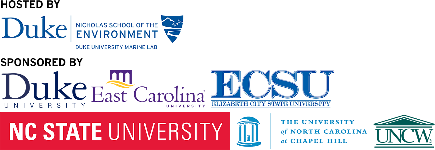 Graphic Design (1515x478), Png Download