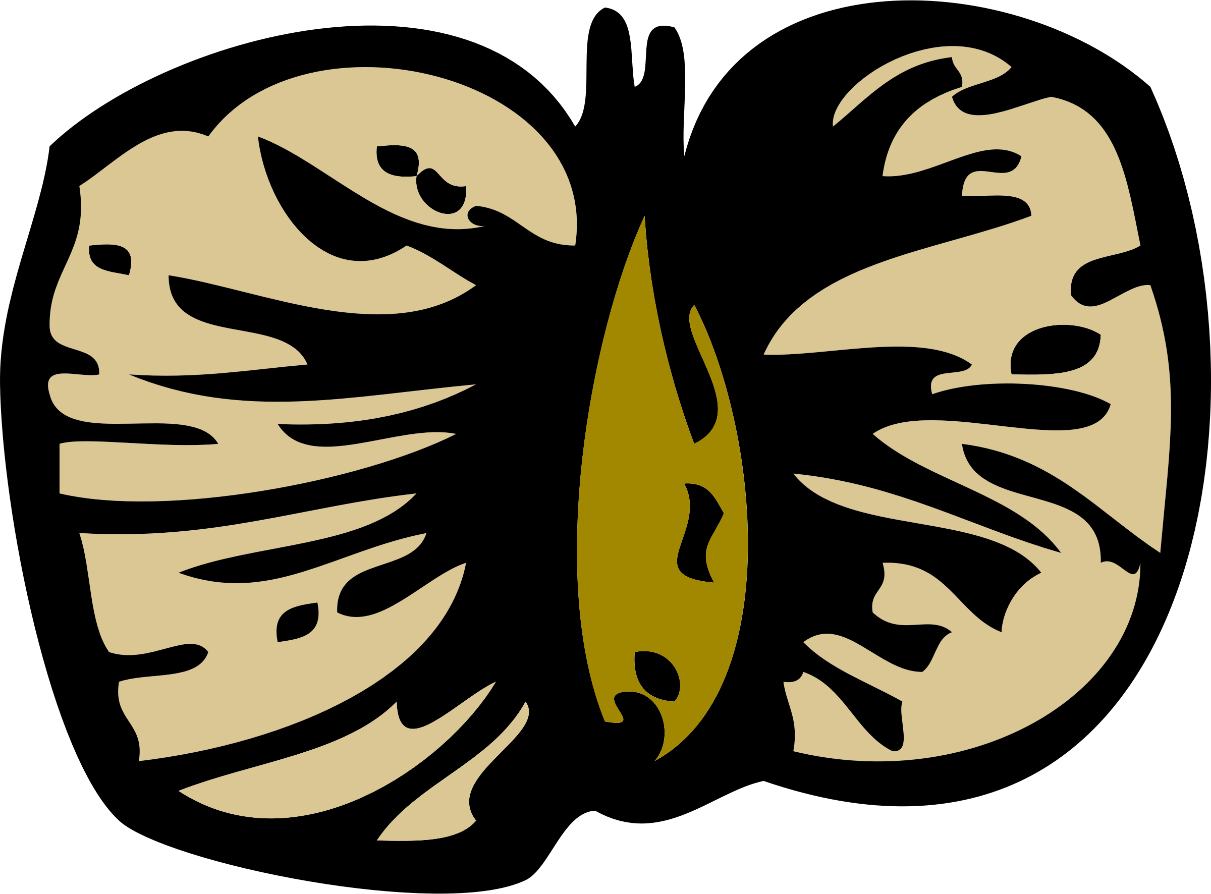 Birch Clipart Free For Download - Bjørk Frø (800x592), Png Download