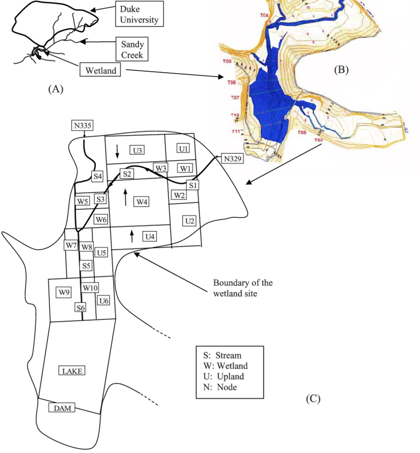 A) Duke University And Wetland Site Watersheds In Durham, - Diagram (850x916), Png Download