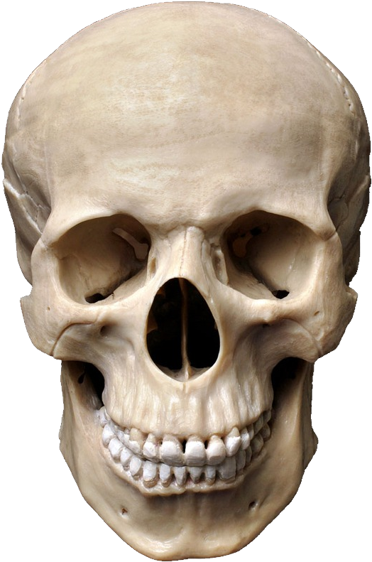 Riza Peker Canvas Wall Art - Skeleton (788x1000), Png Download