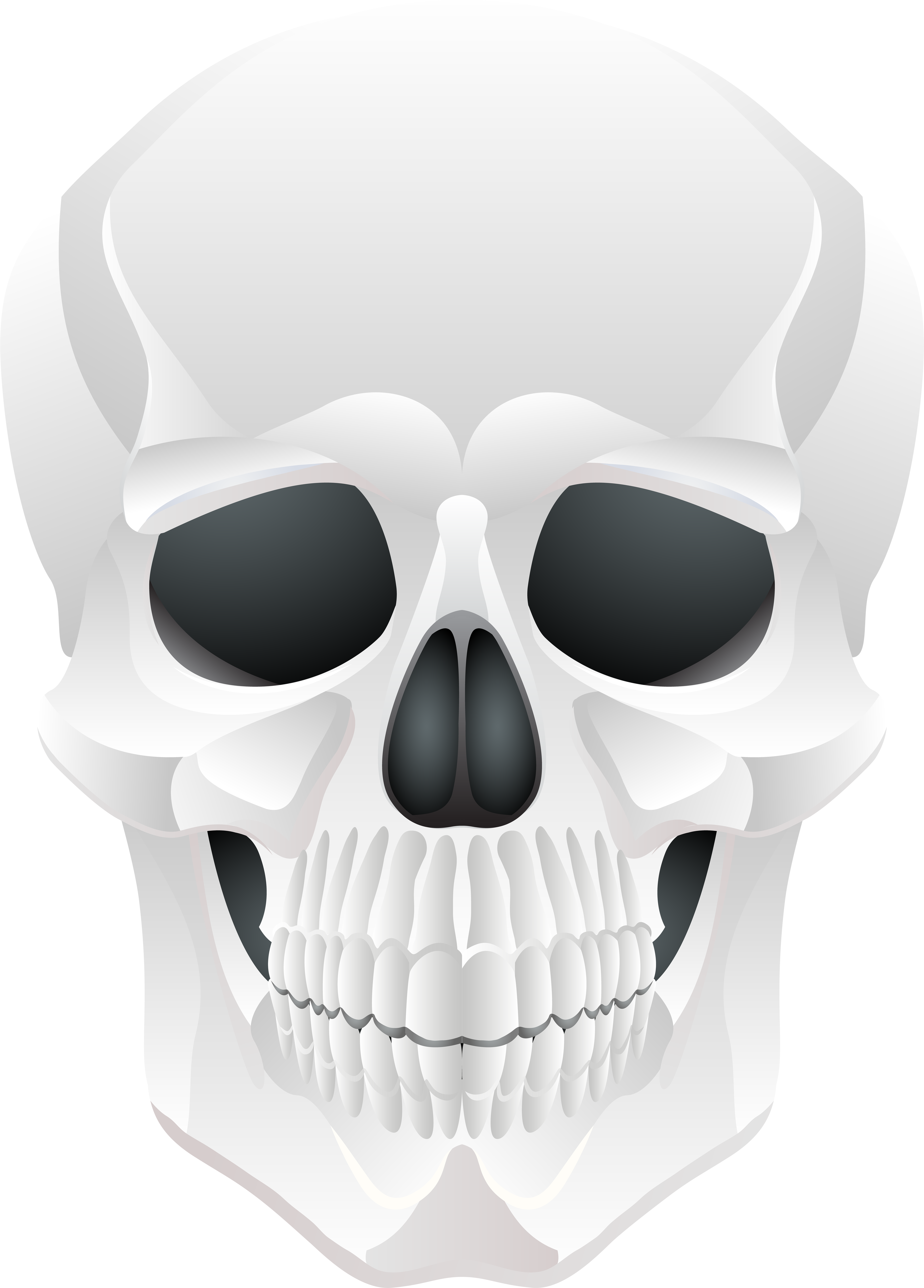 Clip Art (5739x8000), Png Download