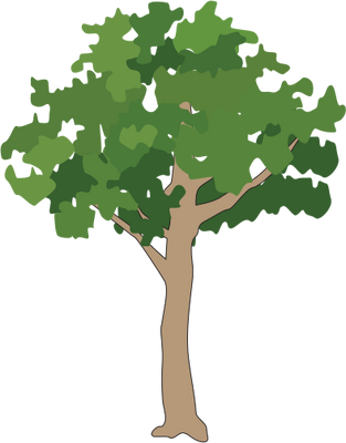 Free Icons Png - Rainforest Tree Vector Png (313x400), Png Download