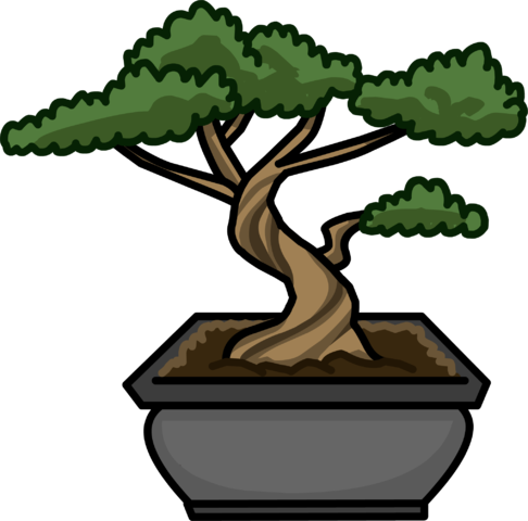 Bonsai Tree Icon - Club Penguin Ninja Furniture (486x480), Png Download