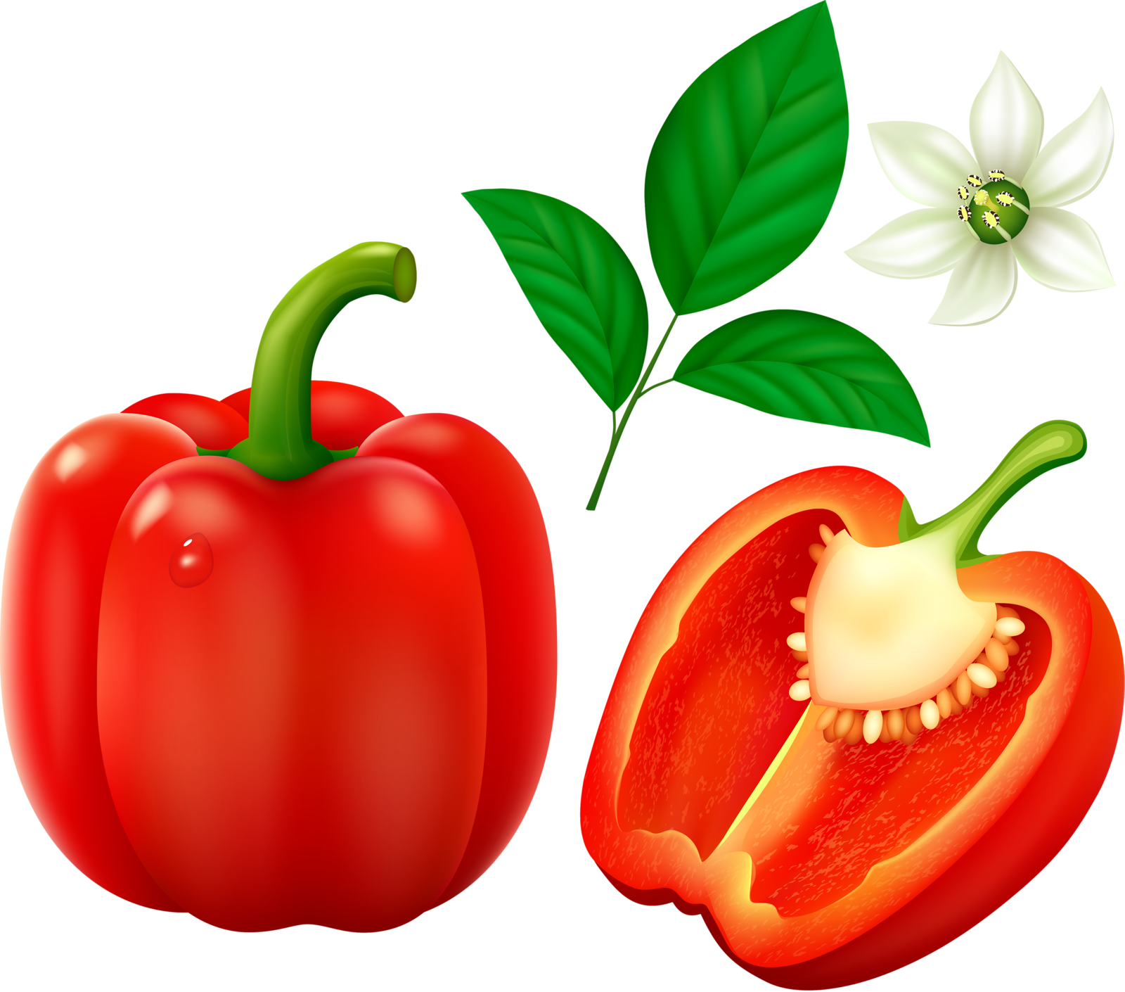 Bell Peppers Vegetables - Vegetables Clip Art (1600x1410), Png Download