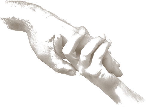 Clip Library Stock Bromhead Chariy Charity Hands Illustration - Charitable Organization (500x375), Png Download