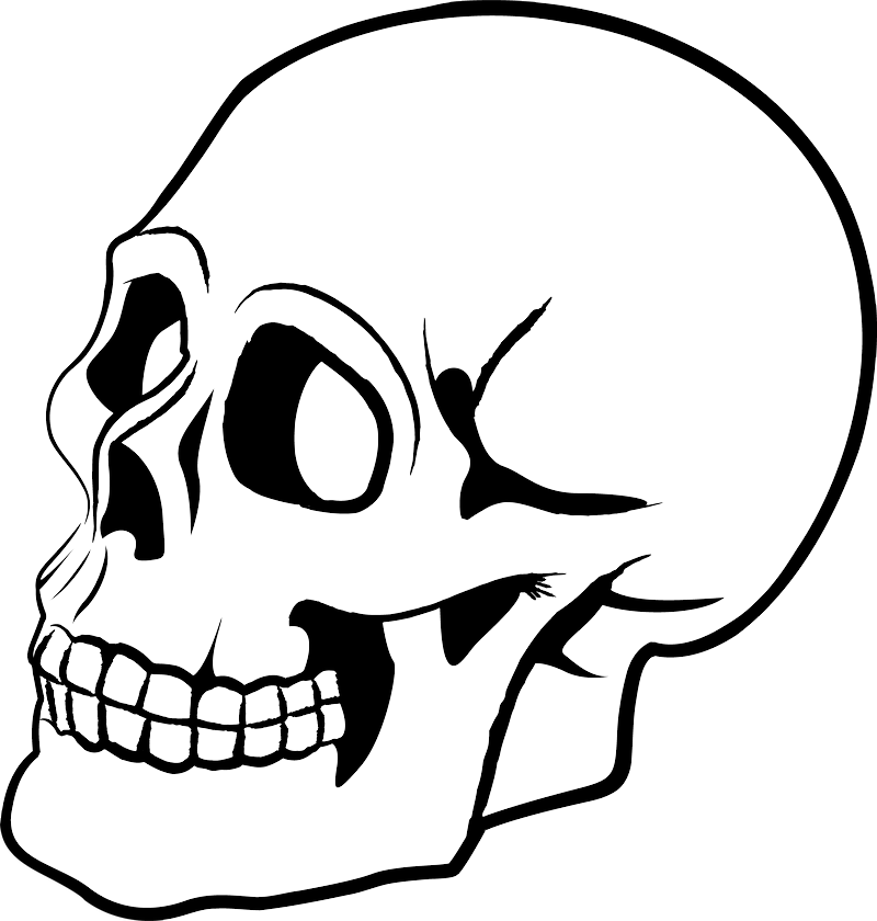 Skull Cartoon Png (800x840), Png Download