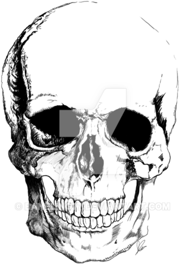 Banner Royalty Free Chaos Drawing Skull - Poster (894x894), Png Download
