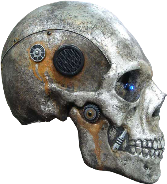 Skull (580x773), Png Download