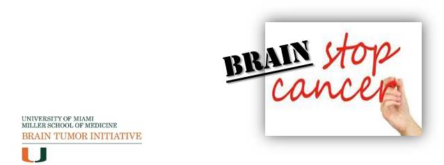 The University Of Miami Brain Tumor Initiative - Carmine (638x238), Png Download