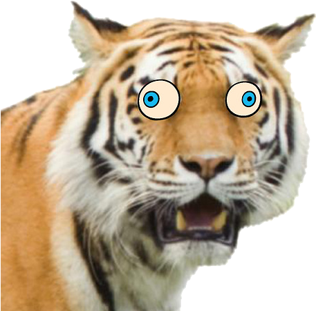 Grft Funn Face - Colchester Zoo (479x453), Png Download