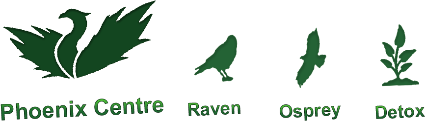 Phoenix Centre - Falcon (930x350), Png Download