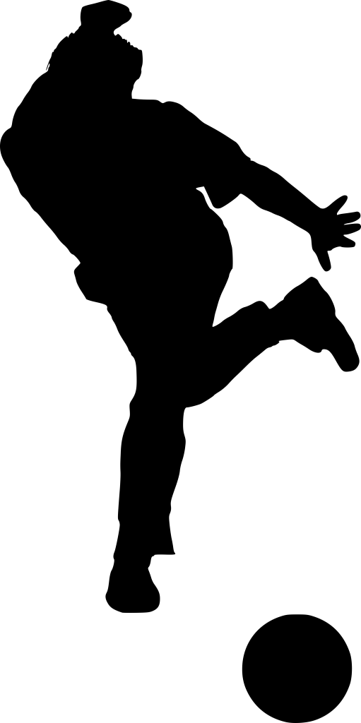 Sport Bowling Silhouette Png - Bowling Silhouette (511x1024), Png Download