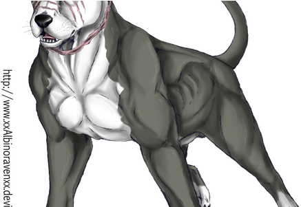 Cute Pitbull Dog Drawing - Pitbull Dog Drawing (450x300), Png Download