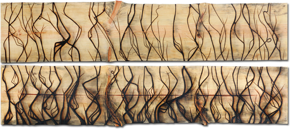 Burnt Panel Diptych No - Diptych (1000x619), Png Download