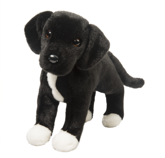 Download Twister Black Lab/pit Bull Mix - Black Lab Pit - Full Size PNG ...