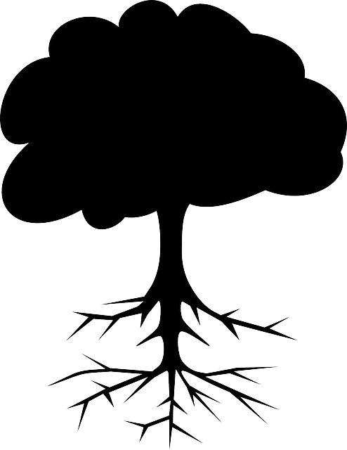 Free Image On Pixabay - Tree Clip Art (494x640), Png Download
