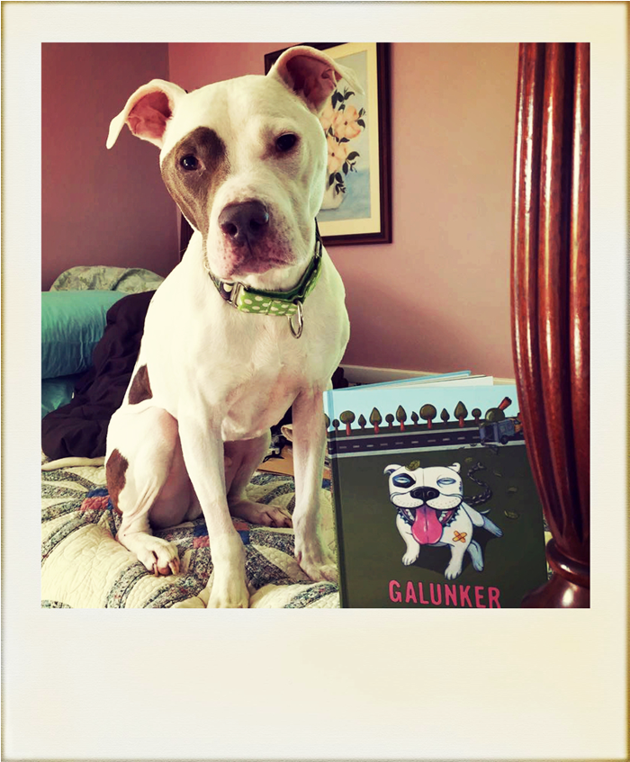 A Cute Pit Bull Sitting By A Copy Of Galunker - Pit Bull (820x992), Png Download