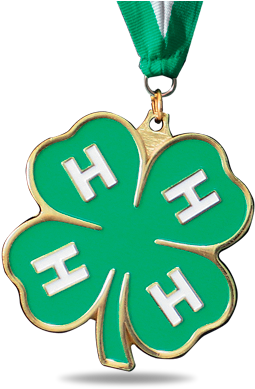 4 H Series - Shamrock (300x400), Png Download