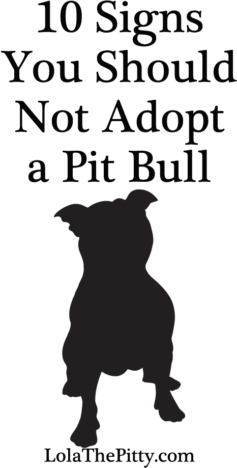 10 Signs You Should Not Adopt A Pit Bull - Verisign (620x950), Png Download