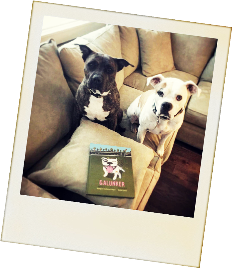2 Cute Pit Bulls With A Copy Of Galunker - Pit Bull (820x992), Png Download