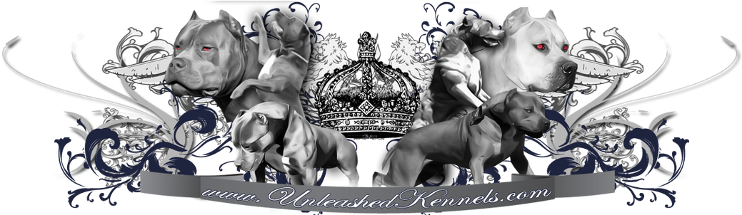 Xl Blur Pitbulls, Xl Red Pitbulls, Xl Black Pitbull, - Stickers Tête De Mort 3 (1100x301), Png Download