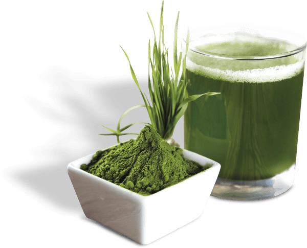 Tablas - Z Natural Foods Barley Grass Powder - Organic 55 Lbs (600x485), Png Download