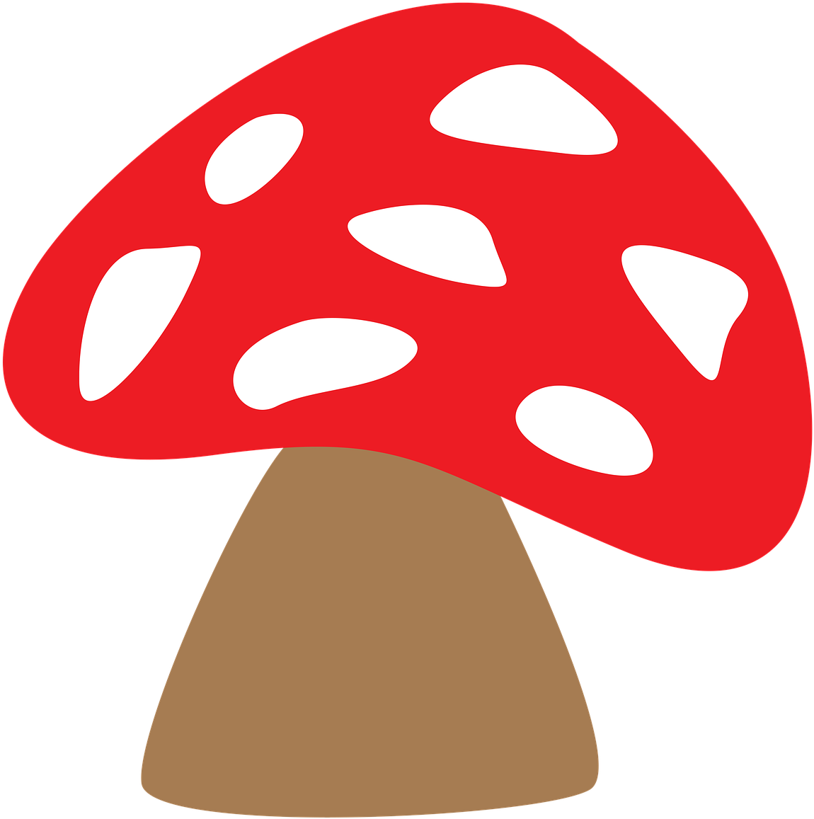 Fungus Mushrooms Tree Fungus - Cogumelos Png (1280x1280), Png Download