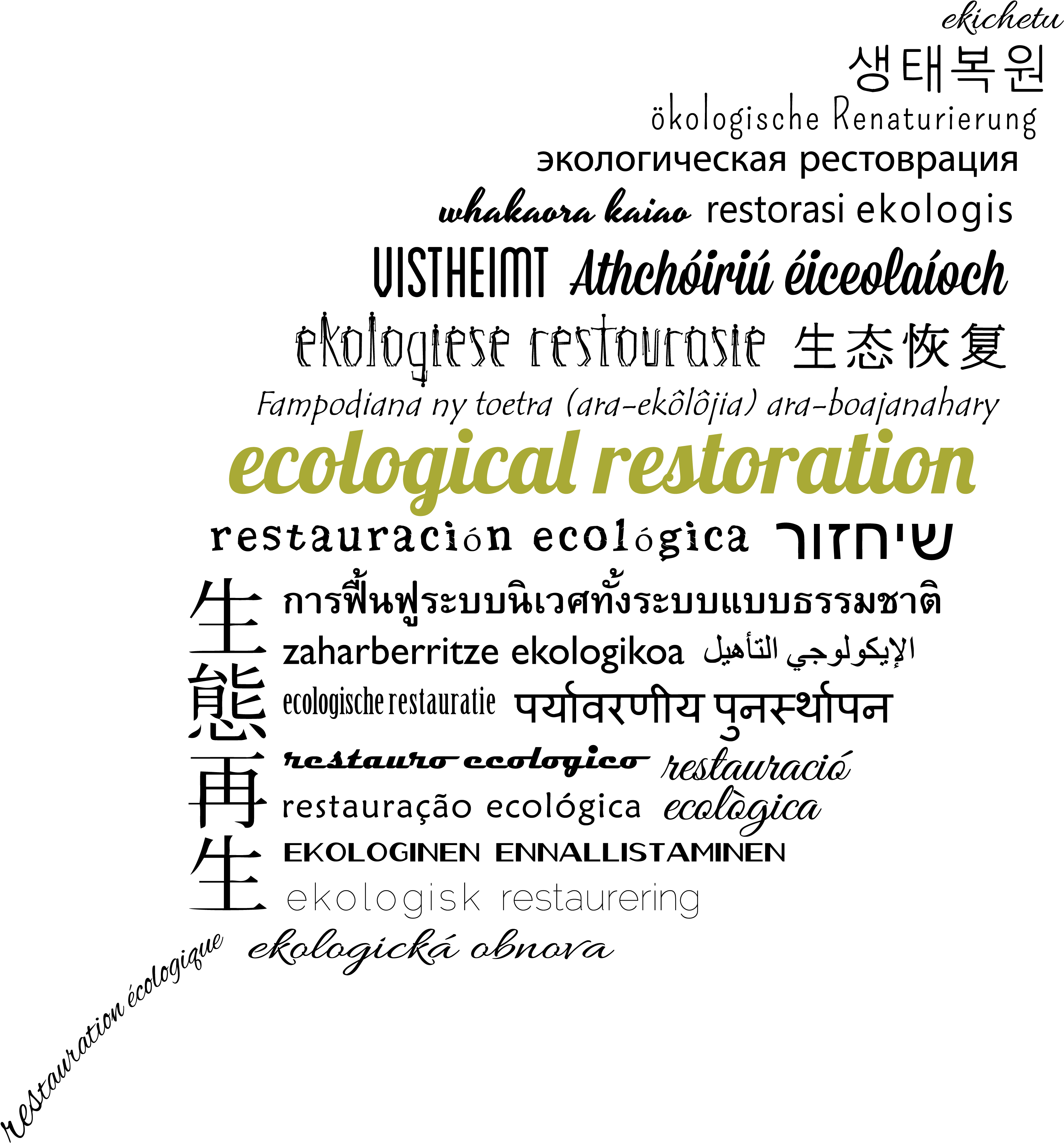 The Ser Online Store Is Now Open Get Your Ser, Cerp, - Leaf Designs (3600x3600), Png Download