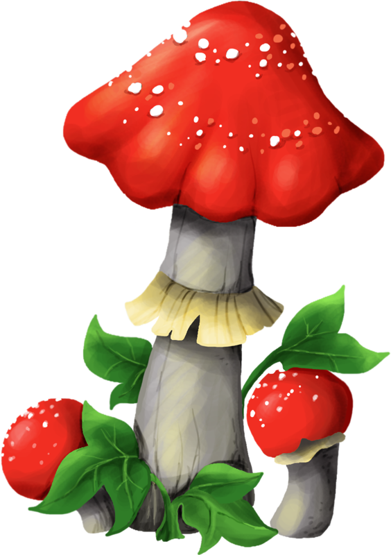 Яндекс - Фотки - Medicinal Mushroom (564x800), Png Download