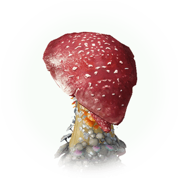 Red Skirt Poison Mushroom - Icon (360x360), Png Download