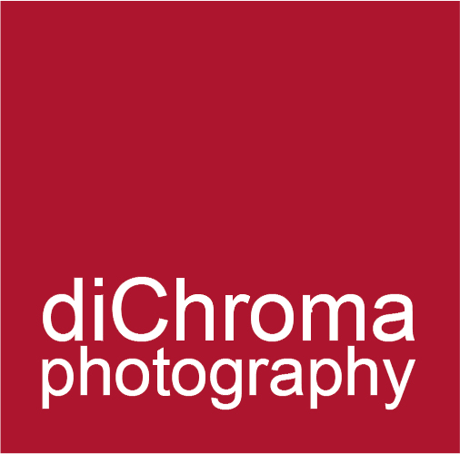 Logo Dch Photography Positivo - Af Photography (506x500), Png Download