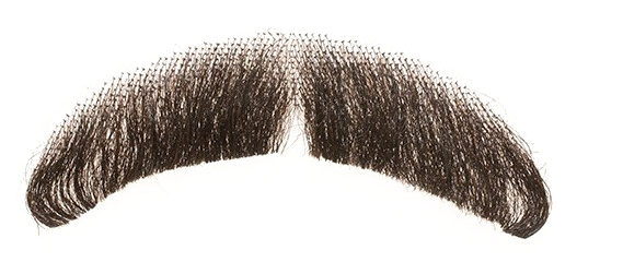 Download Transparent Fake Moustache Transparent Background - Real Mustache Beard Png - PNGkit