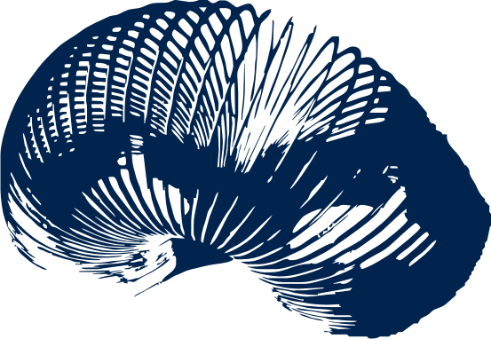 Free Icons Png - Illustration (553x382), Png Download