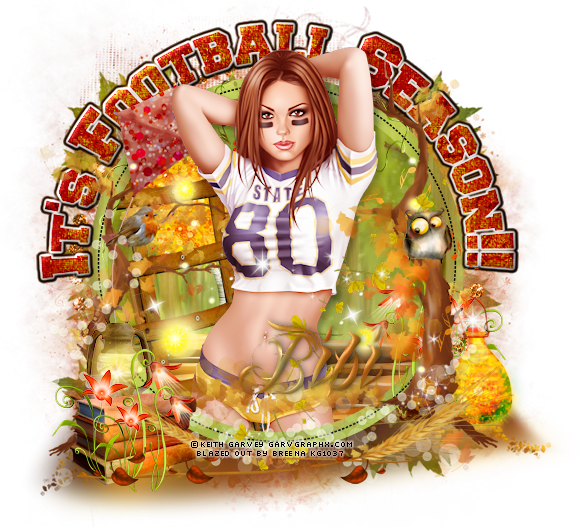 Tube Of Choice, Im Using One By The Amazing Keith Garvey, - Football Pin Up Girl (582x527), Png Download