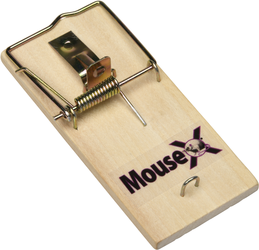 Mousex Wood Traps - Chamfer Plane (1000x1038), Png Download
