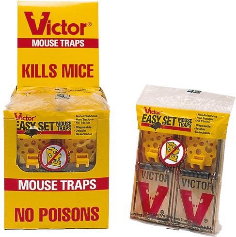 Easy Set Mouse Trap - 360 Traps Victor Easy Set Mouse Trap (500x500), Png Download