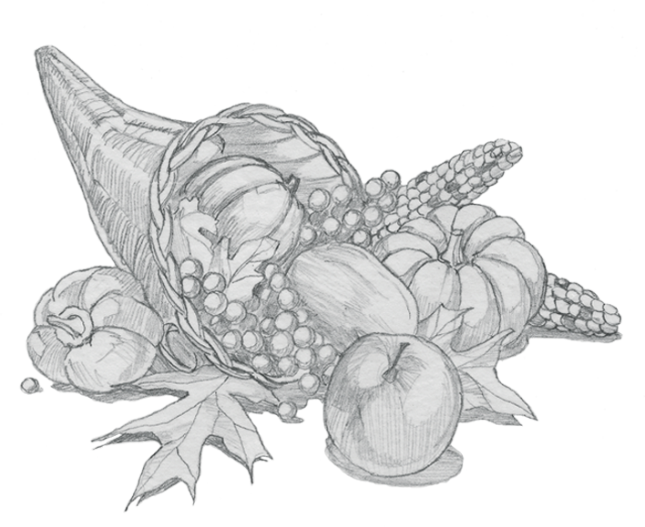 Cornucopia Sketch - Google Search - Cornucopia Sketch Png (708x579), Png Download