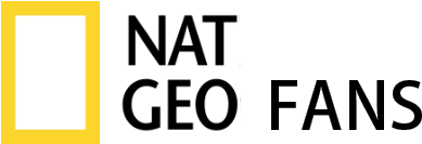 Home Of National Geographic Documentaries - National Geographic Waterproof Hd Action Camera In (940x198), Png Download