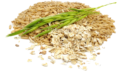 Oat Png Pluspng - La Crusca D'avena (489x295), Png Download
