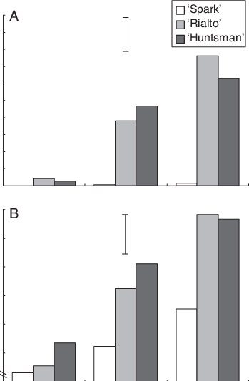 Grain Alpha Amylase Content And (b) Grain Area Of Mature - Diagram (349x534), Png Download