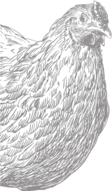 Chicken Bars - Chicken (800x800), Png Download