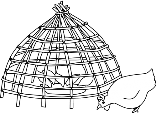 Chicken Creep - Poultry (550x441), Png Download
