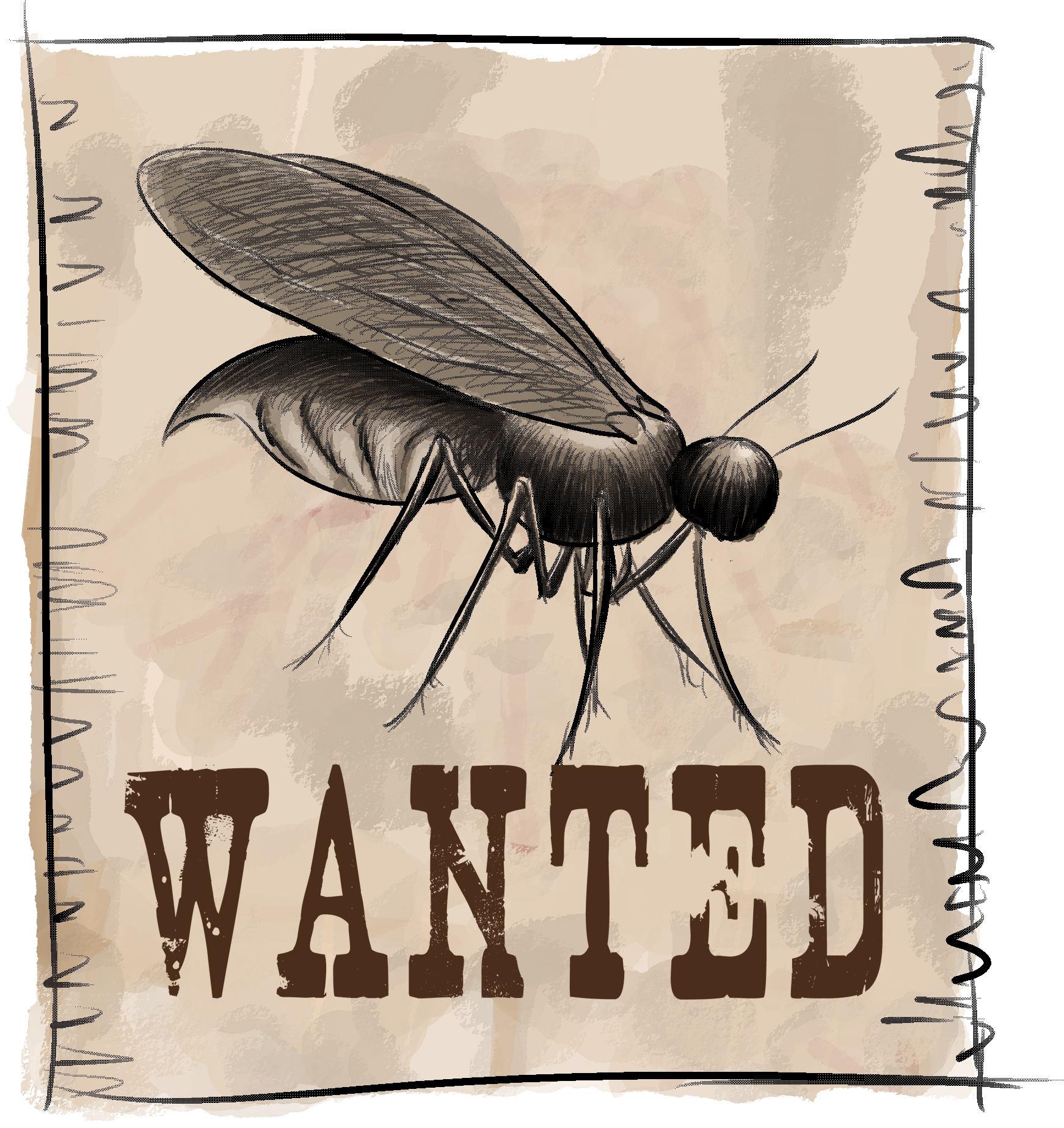 Combatir La Mosca De La Humedad - Free Blank Wanted Poster (1742x1847), Png Download