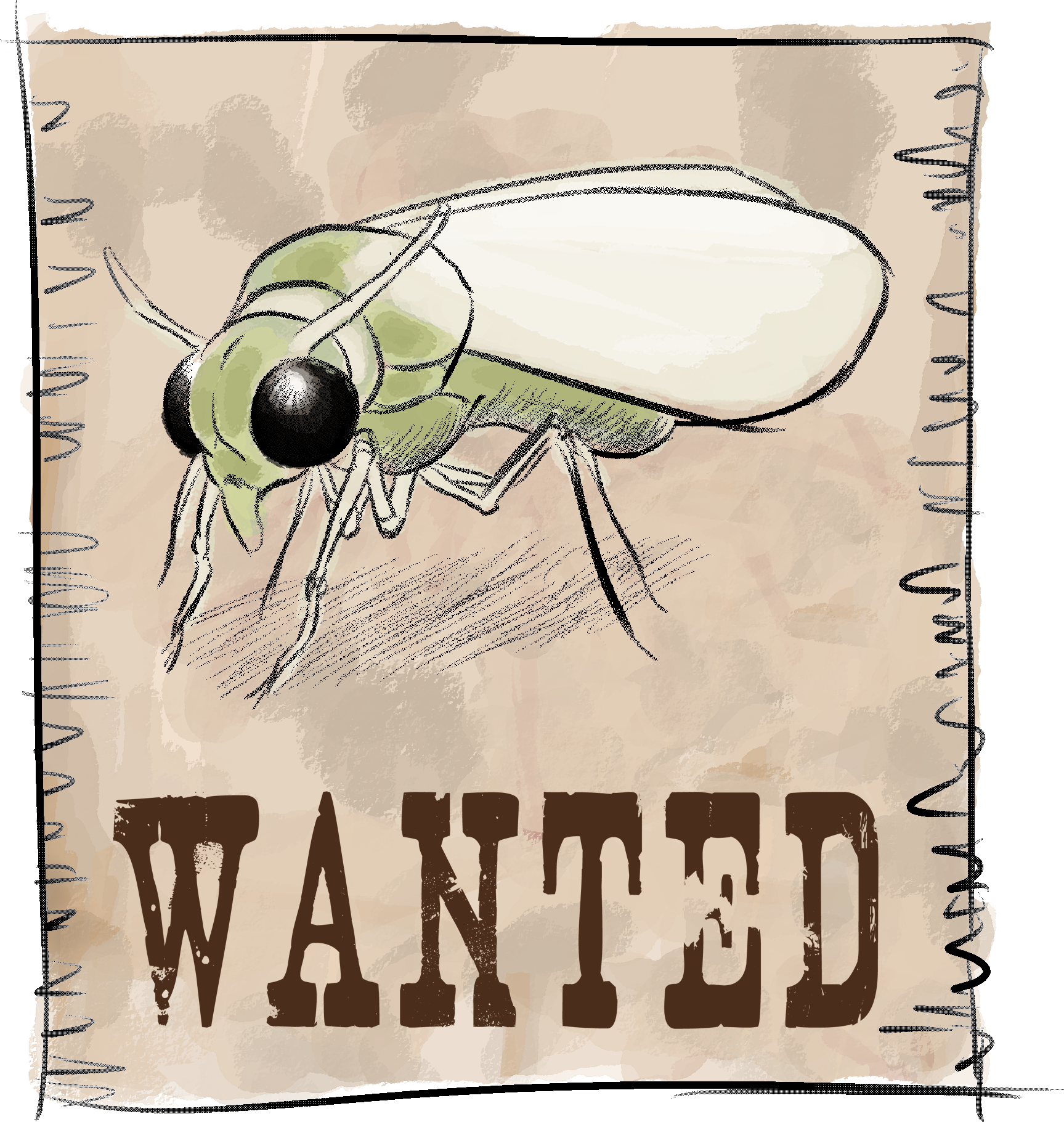 Cartel Mosca Blanca - Wanted Poster (1727x1821), Png Download