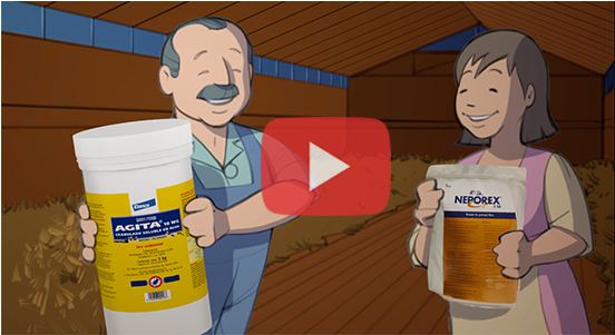 Adios A Las Moscas Con Agita Y Neporex - Cartoon (830x300), Png Download