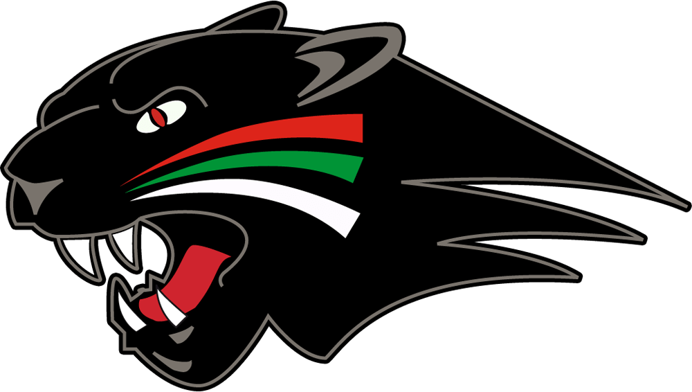 Augsburger Panther Head Logo - Nation Ford High School Falcon (1000x566), Png Download