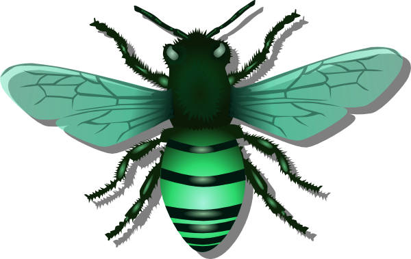 Bee Green Image - Bee Blue (600x379), Png Download