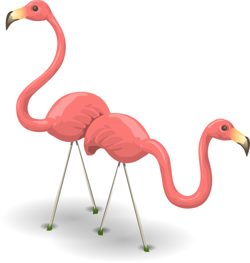 Birds,phoenicopteridae - ! Mugs (500x526), Png Download